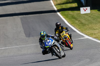brands-hatch-photographs;brands-no-limits-trackday;cadwell-trackday-photographs;enduro-digital-images;event-digital-images;eventdigitalimages;no-limits-trackdays;peter-wileman-photography;racing-digital-images;trackday-digital-images;trackday-photos